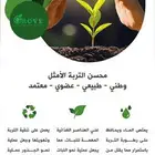الحجر البركاني