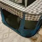 مستلزمات قطط