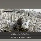 حمام صنعاني