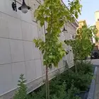 منسق حدائق وتركيب جميع شبكات الري العادي والاتمتك