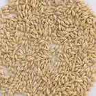 طبرجل بصيطا