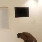 دھان  ا ستاني دخري خارج برافال رش  ي ر