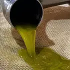 زيت زيتون اول عصرة الموسم الجديد 2025اكتوبر