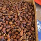 تمر برني يصلح للاعلاف ويصلح لتصنيع