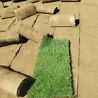 تنسيق حدائق لاند اكسيب