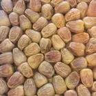 مفتل جملة الجملة للكميات