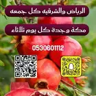 رمان الباحة انتاج فاخر