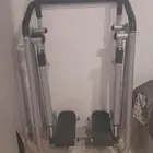 الغزال الطائر للبيع