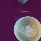 كداد ينبع إلى رابغ إلى جده بعد السحور