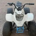 دباب