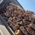 رياض الخبراء