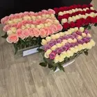 استاند ورود للإيجار