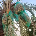 حرمه طريق حفر الباطن