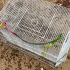 شبك عصافير للبيع 610