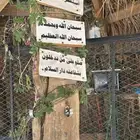 مطلوب ارض جنوب بيشه على المنصه وفيها كهرب