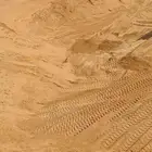 اشيقر