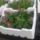 تنسيق الحدائق المنزلية