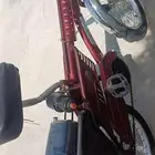 سيكل اندنوسي نضيف للبيع