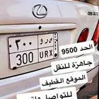 لوحة رقم 300
