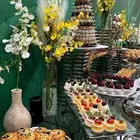 تنظيم كوفي بريك وبوفيهات غداء وعشاء