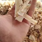 نشارة خشب للخيول