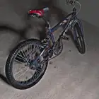 سيكل كوبراء