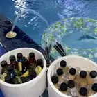 بوكسات الجمعات واللحظات السعيدة