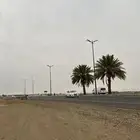 ارض زراعية للايجار