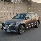 شانجان رمادي 2020
