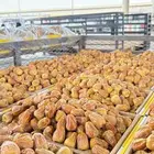 تمر سكري مفتل فاخر انتاج الموسم الحالي