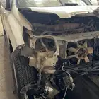 برادو 2011