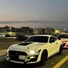 فورد موستنج