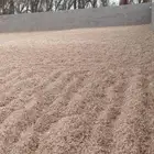 للبيع نشاره جاهز التوصل على الجوال