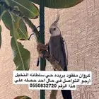 كروان مفقود
