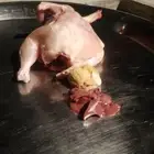دجاج لاحم