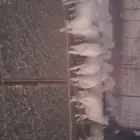 طليان ضاحي