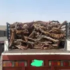 حط  ب ارطى يابس وشرط