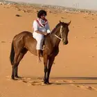 الفرس البيع