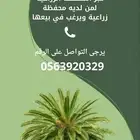 دعم الايعانة الزراعيه