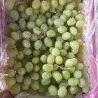 عروض قوية للجملة ونص الجملة وتوصيل مبرد
