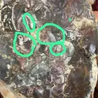 للبيع عقيق مصور خام
