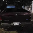 جمس بدون أوراق