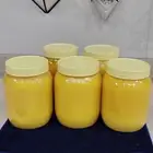 سمن بقر طازج