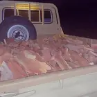 حوض شاص طيب شلايخ