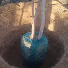الخرج