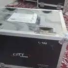 بيشة