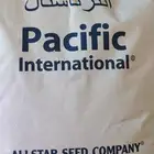 بذور برسيم باسفيك امريكي