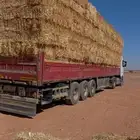 تبن بر قصب برسيم جميع أنواع الأعلاف
