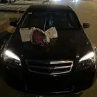كابرس 13 عنابي