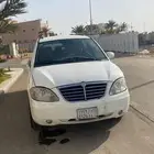 سانج يونج روديوس